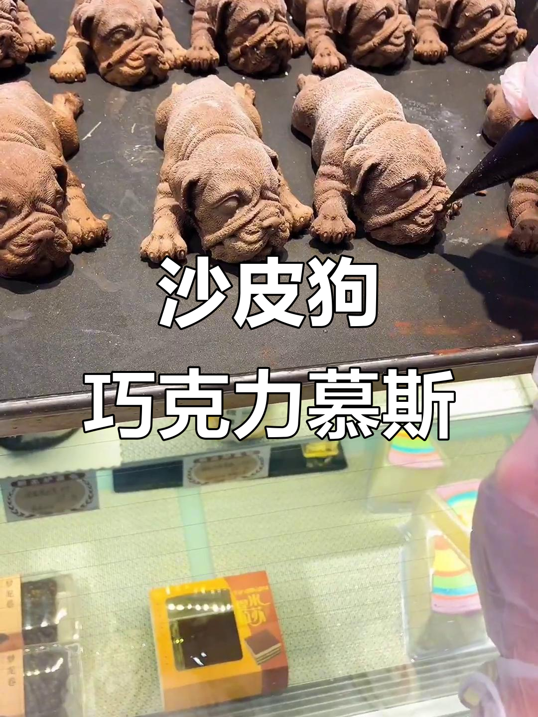 沙皮狗的巧克力慕斯蛋糕,萌态十足!
