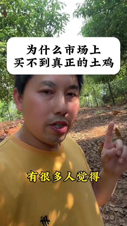为什么在农贸市场30块钱买到的土鸡不是真正的土鸡?在农贸市场花30块钱一斤,买到的土鸡不是