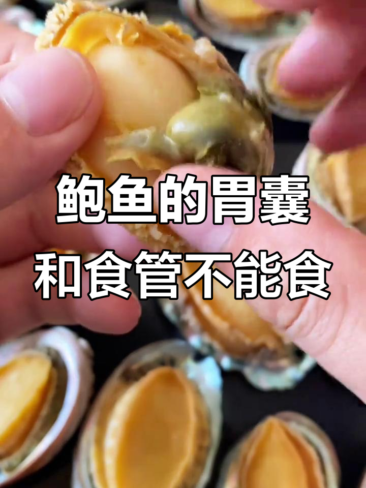 鲍鱼这几个部位不能吃，教你轻松去除腥味
