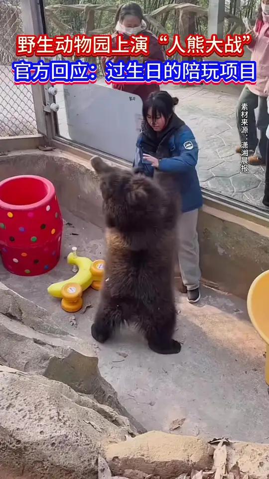 野生动物世界上演“人熊大战”,官方回应来了:过生日吃完蛋糕后的陪玩项目,视频最后有和睦相处