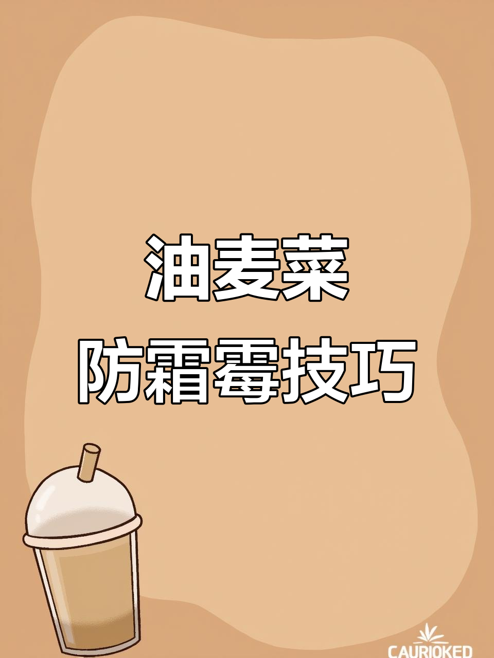 油麦菜霜霉病防治全攻略,轻松搞定大菜问题