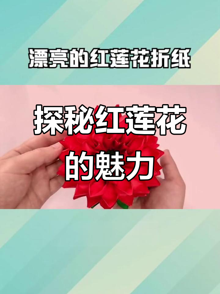 红莲花:美丽与神秘的完美结合