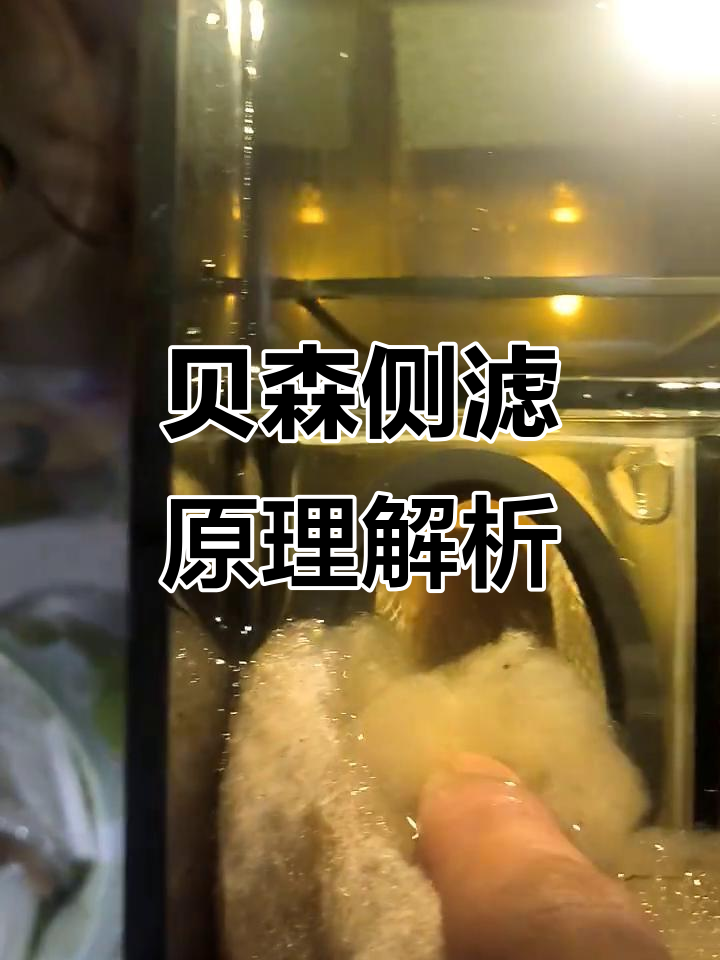 贝森侧滤鱼缸工作原理揭秘：水流如何通过泵和过滤材料？
