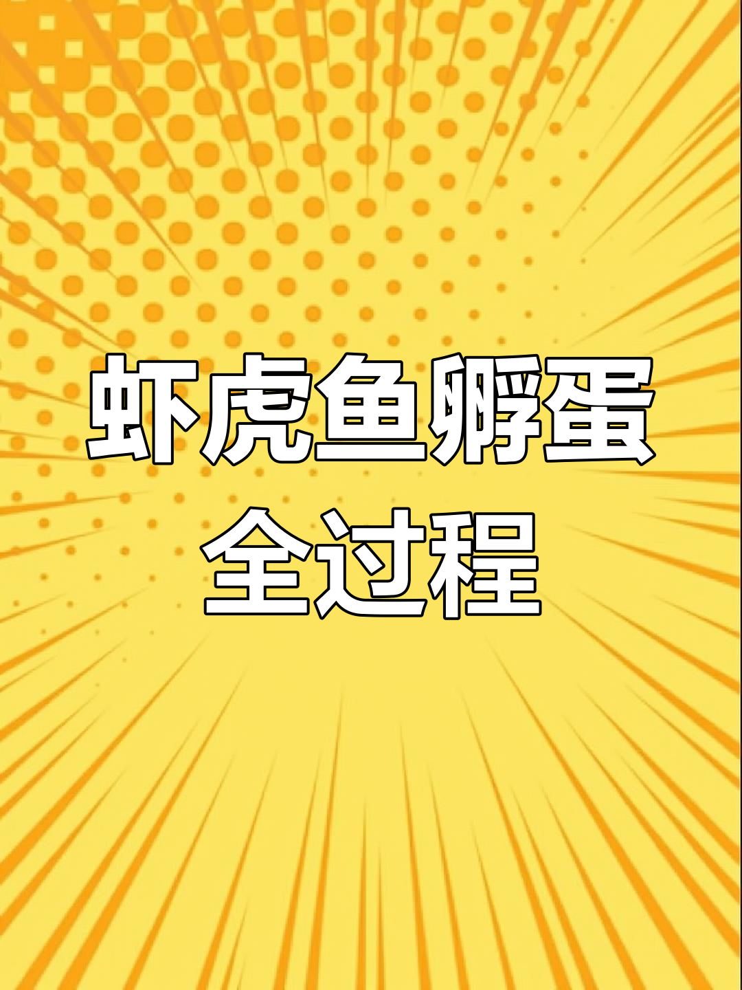 虾虎鱼产卵过程揭秘,公母守卵孵化实录