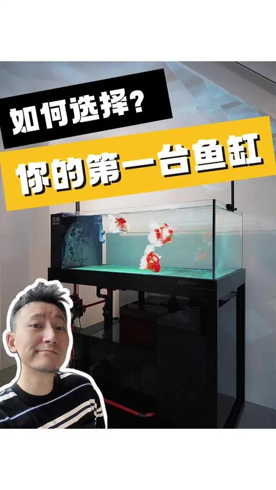 「建议收藏」如何购买你的第一台鱼缸?养鱼日记 鱼缸 水鸦鱼缸 买鱼缸注意事项