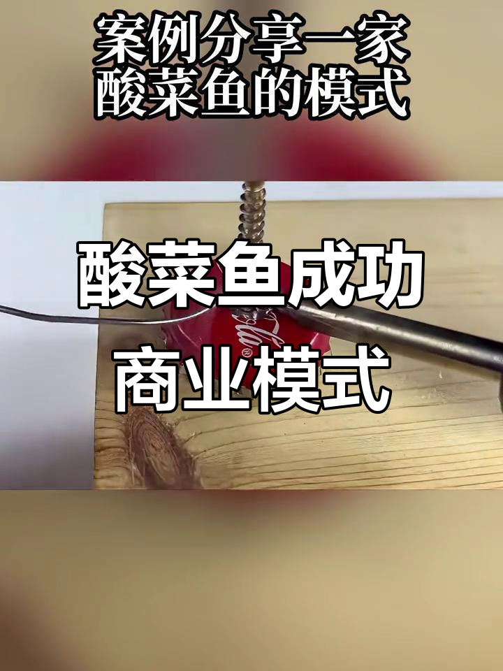 酸菜鱼连锁店的成功秘诀：单品、高效门店与合伙模式