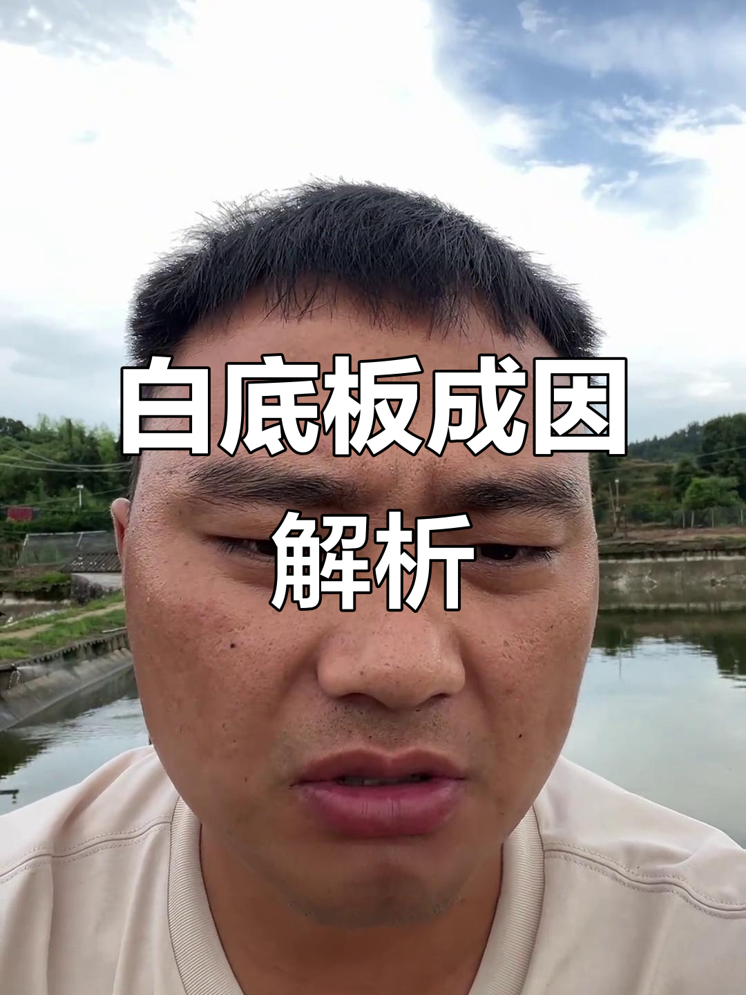 甲鱼白底板成因揭秘,优质饲料与营养补充是关键