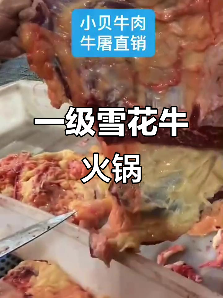 雪花牛肉火锅，新鲜食材带来极致美味
