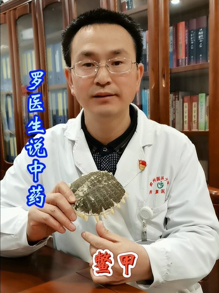 罗医生说中药—鳖甲
