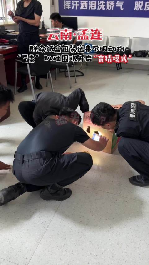 近日,家住孟连县城的一名群众带着一个纸盒来到娜允派出所,其称平常住在自己经营的店里,夜晚准