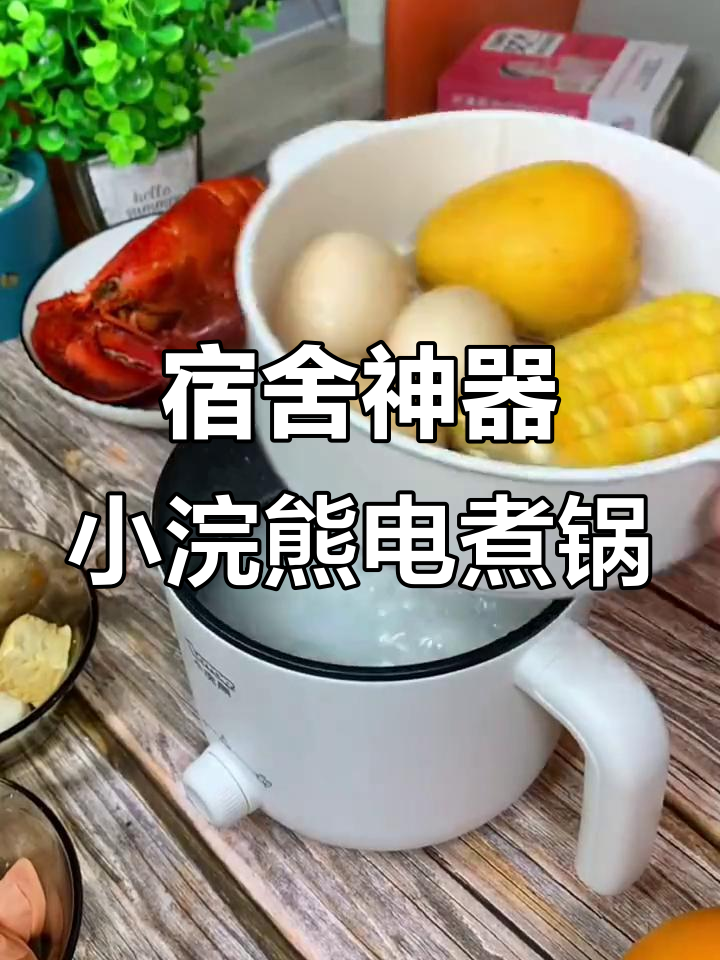 小浣熊迷你电煮锅,学生宿舍必备!双档调节功能超实用