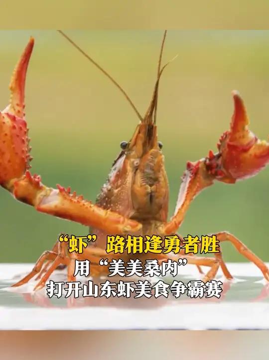 到济宁来一场“虾”客行!用“美美桑内” 打开山东虾美食争霸赛,“味觉争锋”决赛在即