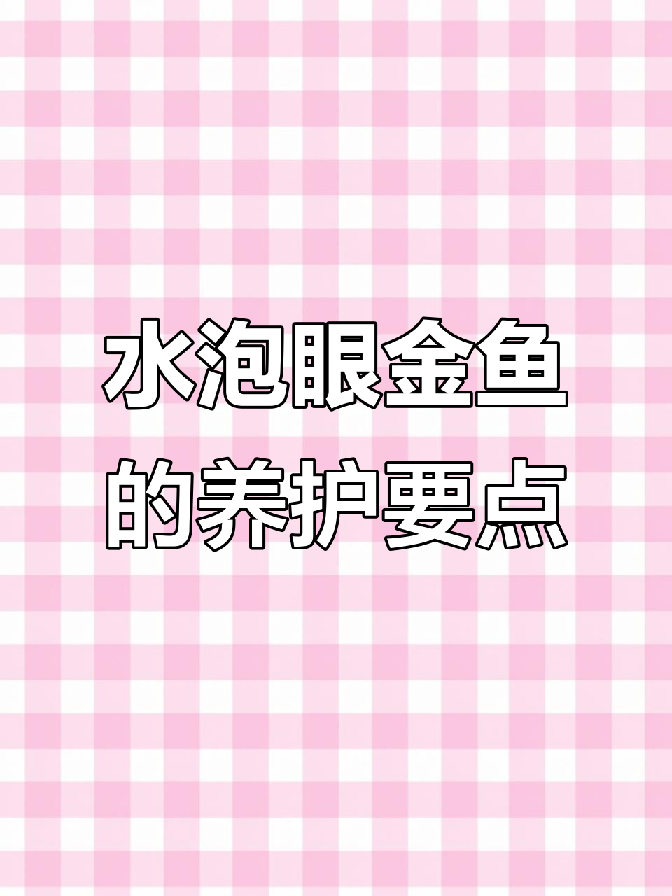 水泡眼金鱼养殖技巧:水质、饲料与过滤系统全解析
