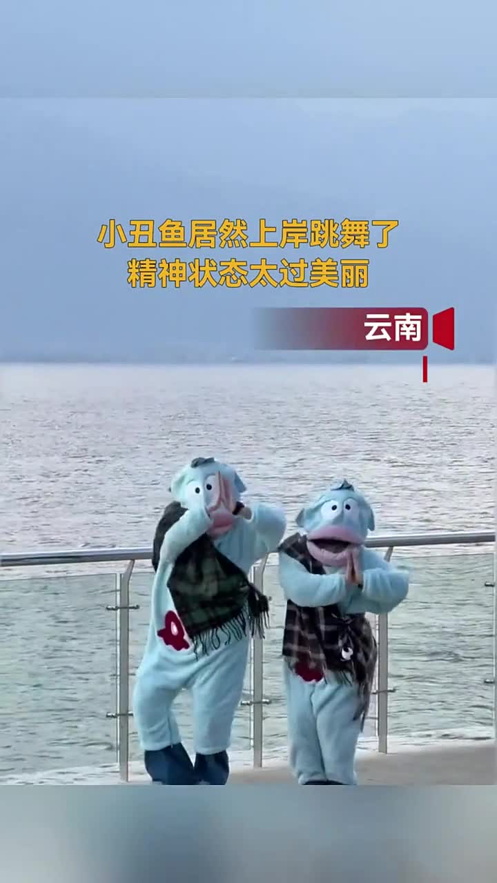 彩云之南小丑鱼“跳上舞台”,网友:现在的人都这么抽象?