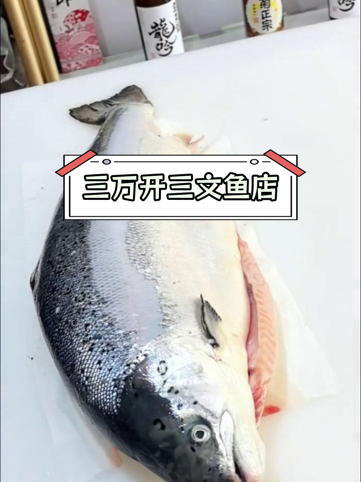 开一家三文鱼刺身店,轻松创业