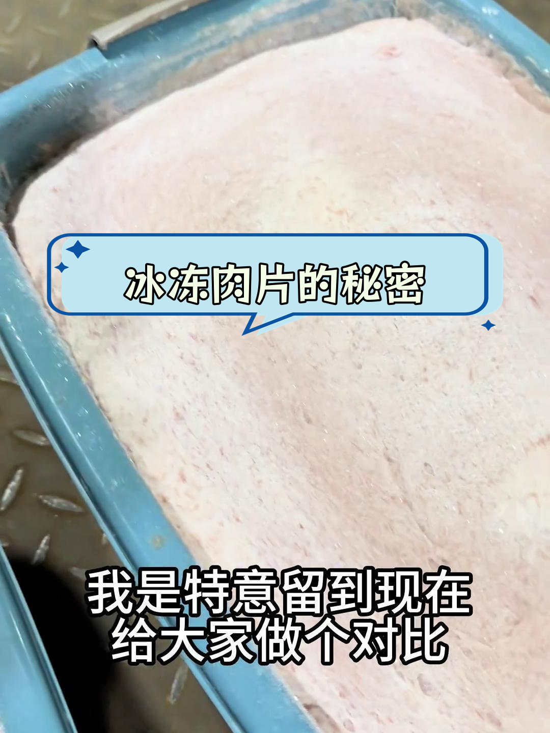 福鼎肉片冷冻保存技巧,口感最佳