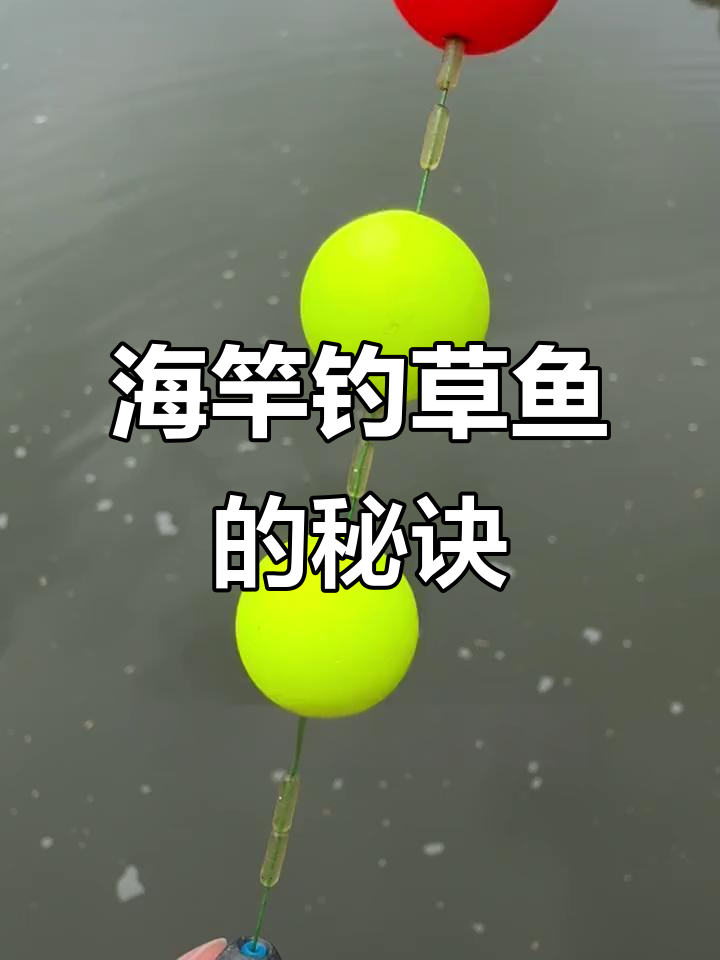 海竿钓草鱼技巧大揭秘，掌握这招轻松上手