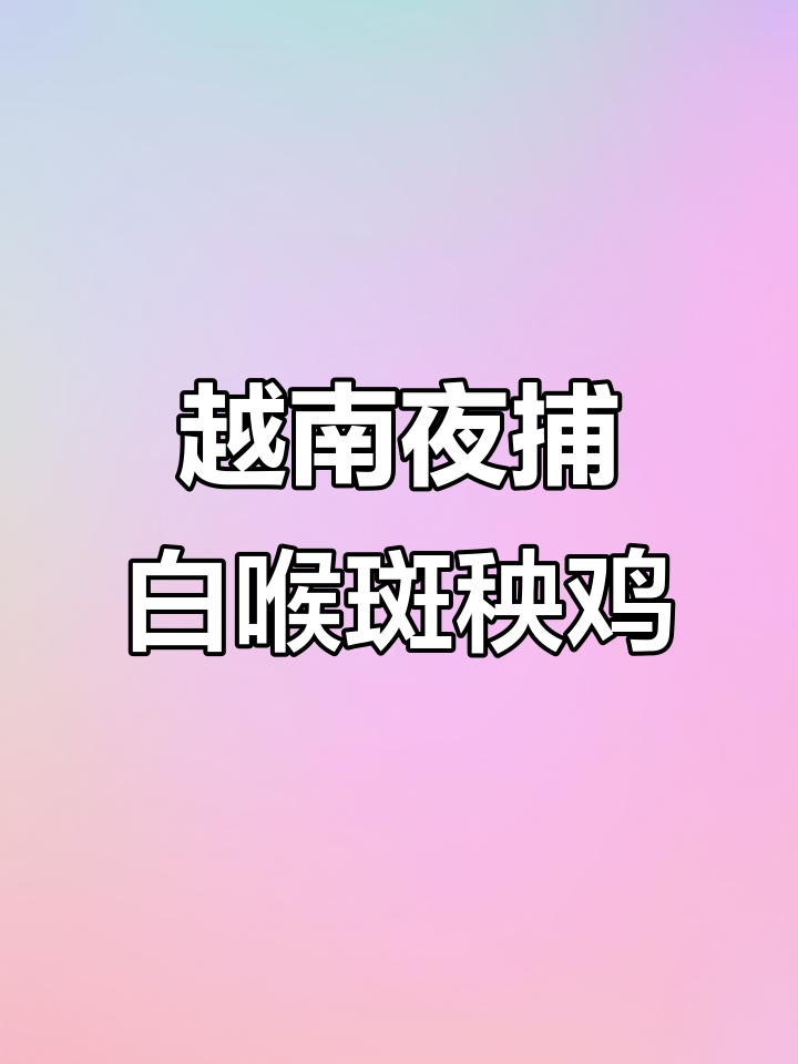 越南小哥夜晚狩猎白喉斑秧鸡,叫声惊悚现场