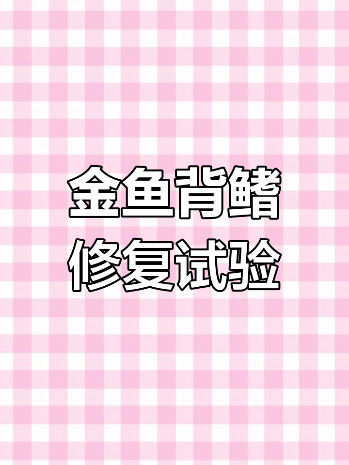 泰狮金鱼背鳍长歪了,修剪后能恢复正常吗?实验结果揭晓