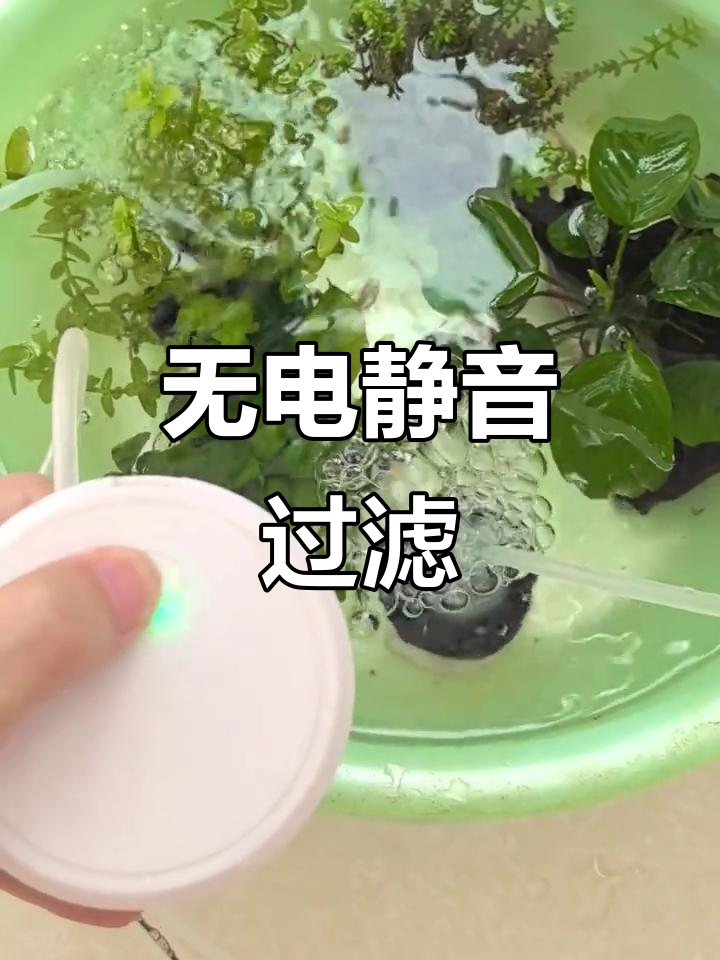 静音过滤器,无需电源,轻松维持鱼缸清洁与氧气供应