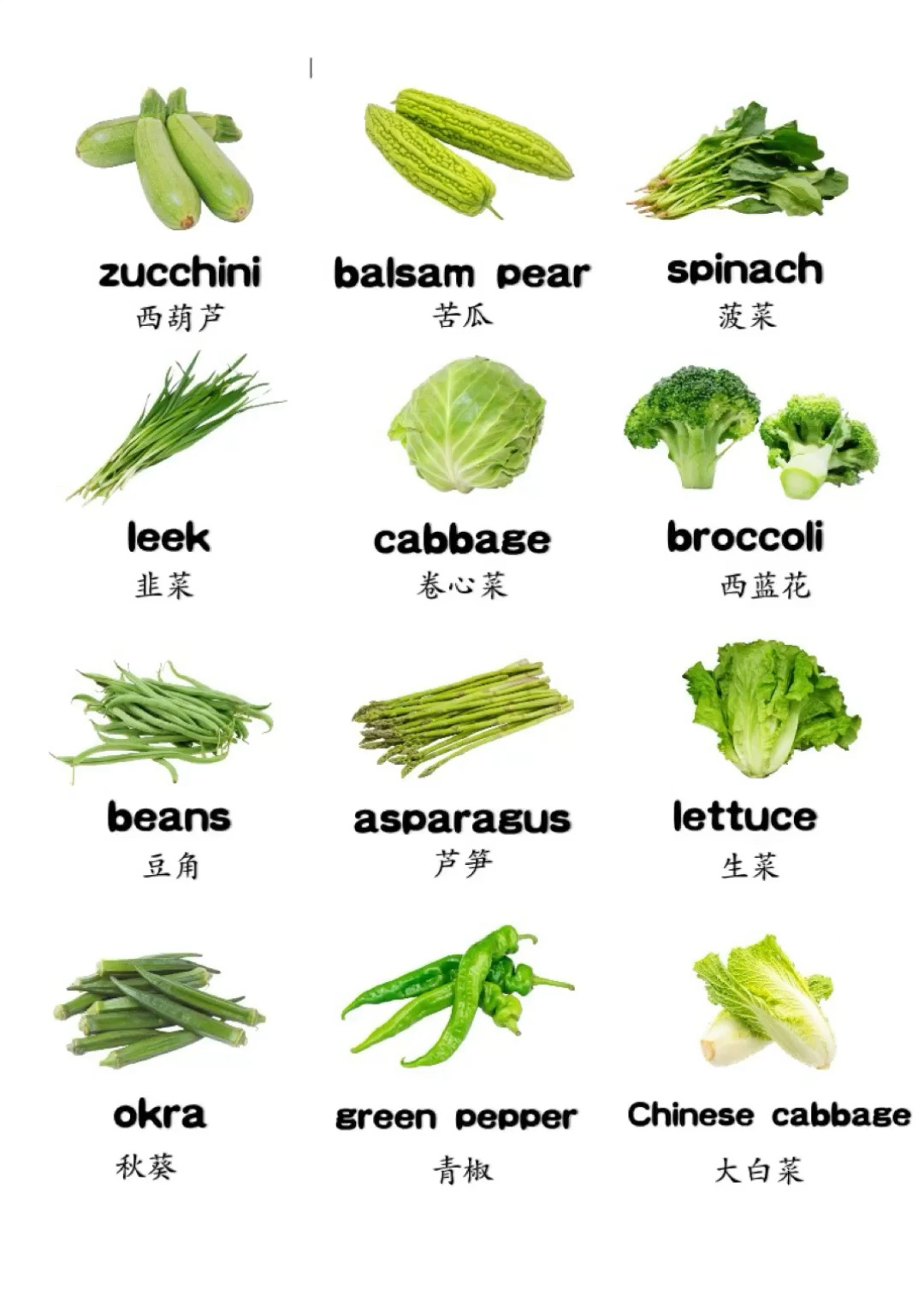 一分钟学会12种绿色蔬菜的英文表达