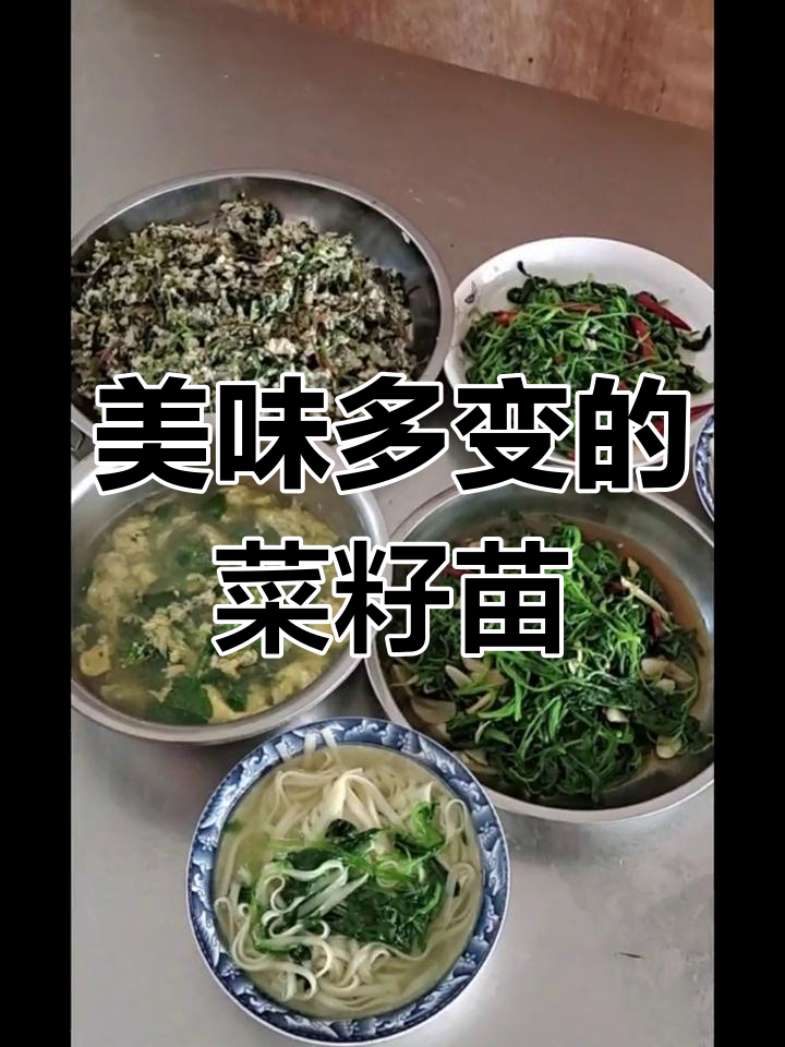 菜籽苗口感绝佳,多种做法都美味,凉拌清炒皆宜!