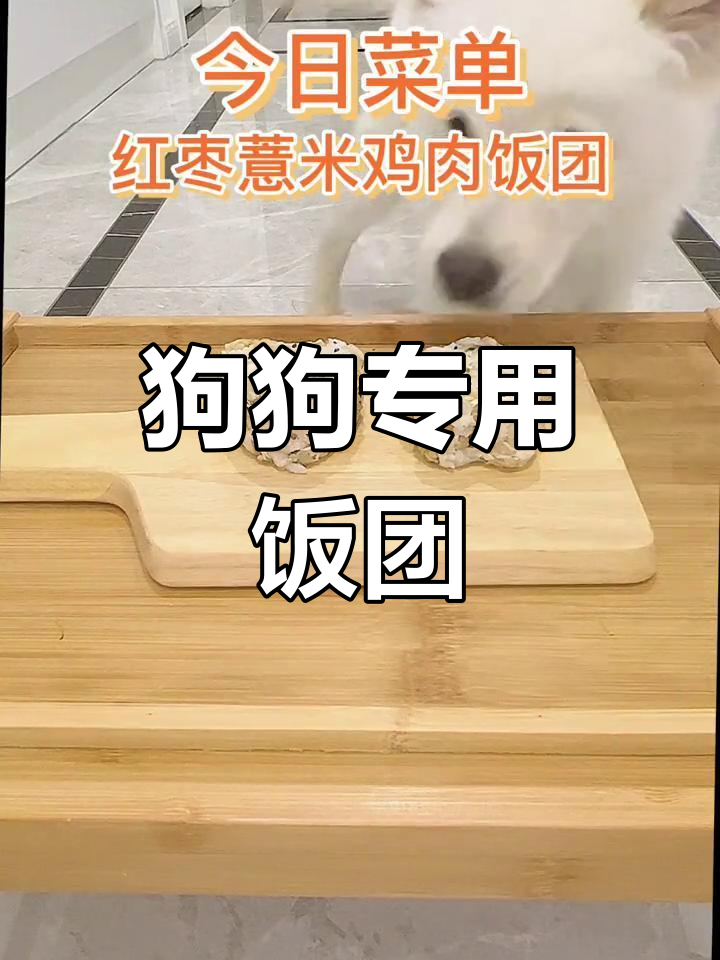 红枣薏米鸡肉饭团,狗狗也能享受美味