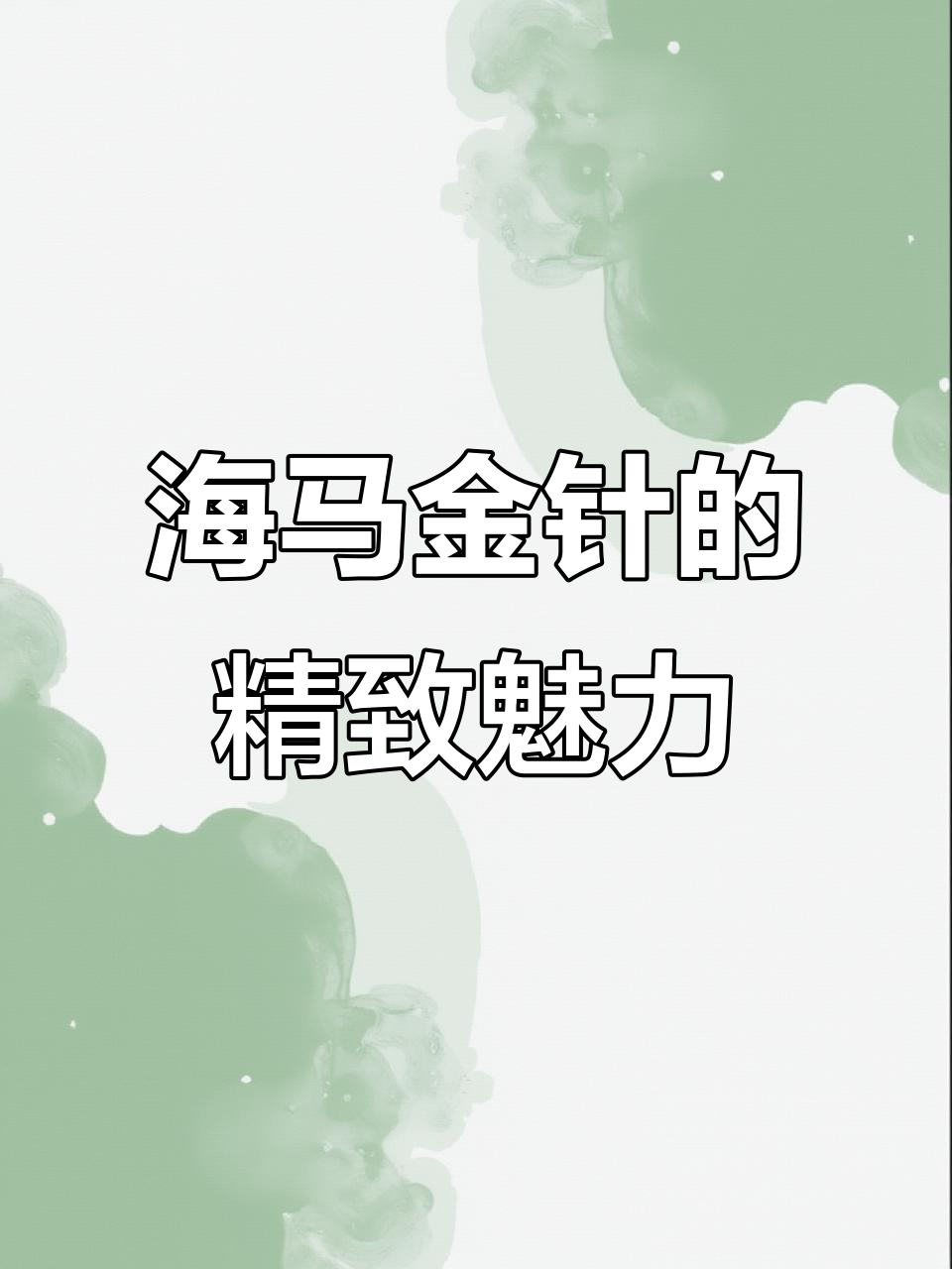 欧米茄海马金针,精英气质与优雅并存