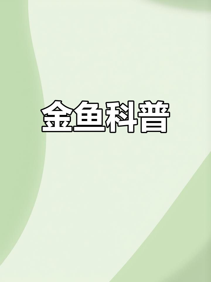 金鱼种类与特征解析