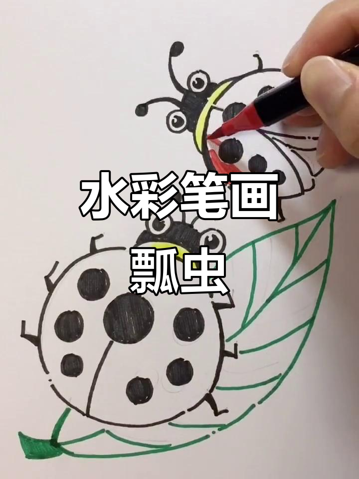 用水彩笔轻松画可爱瓢虫,简单又有趣