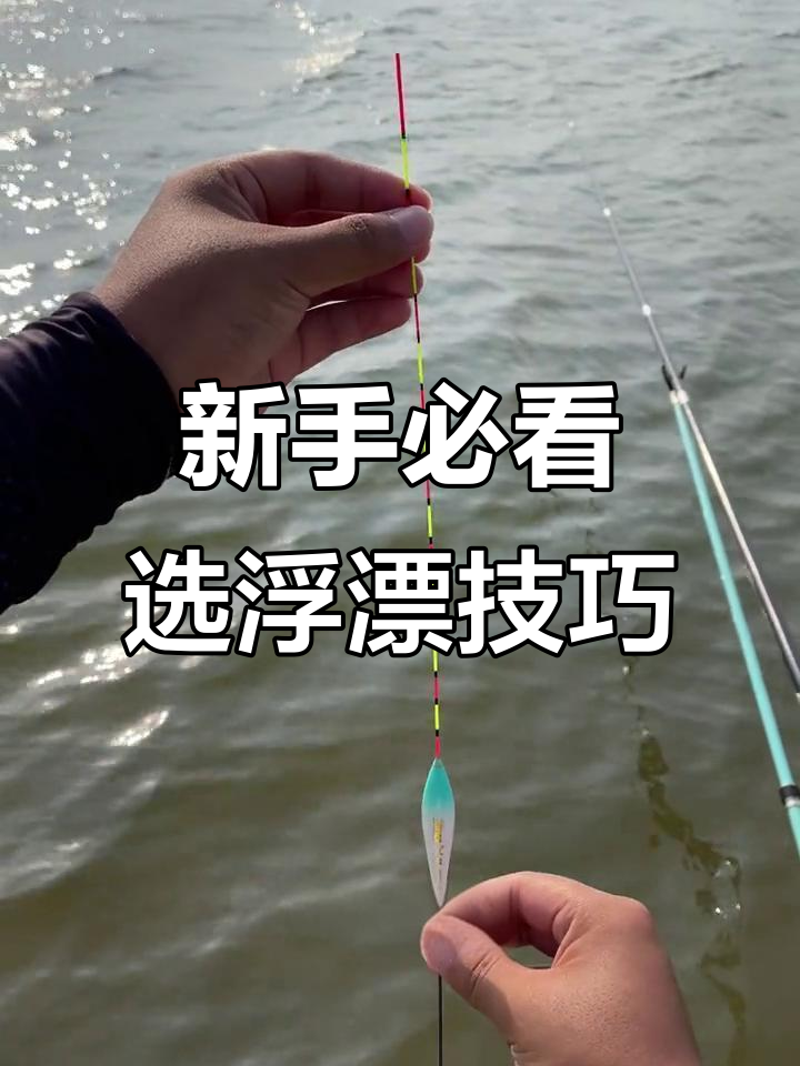 初学钓鱼如何选浮漂？这款综合王最适合新手