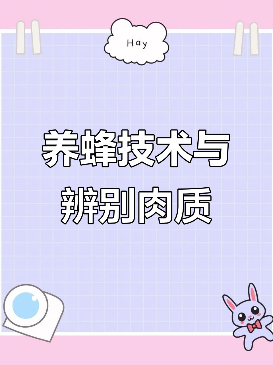 养殖技术大揭秘:如何区分猪肉与牛肉,防蜂服使用技巧