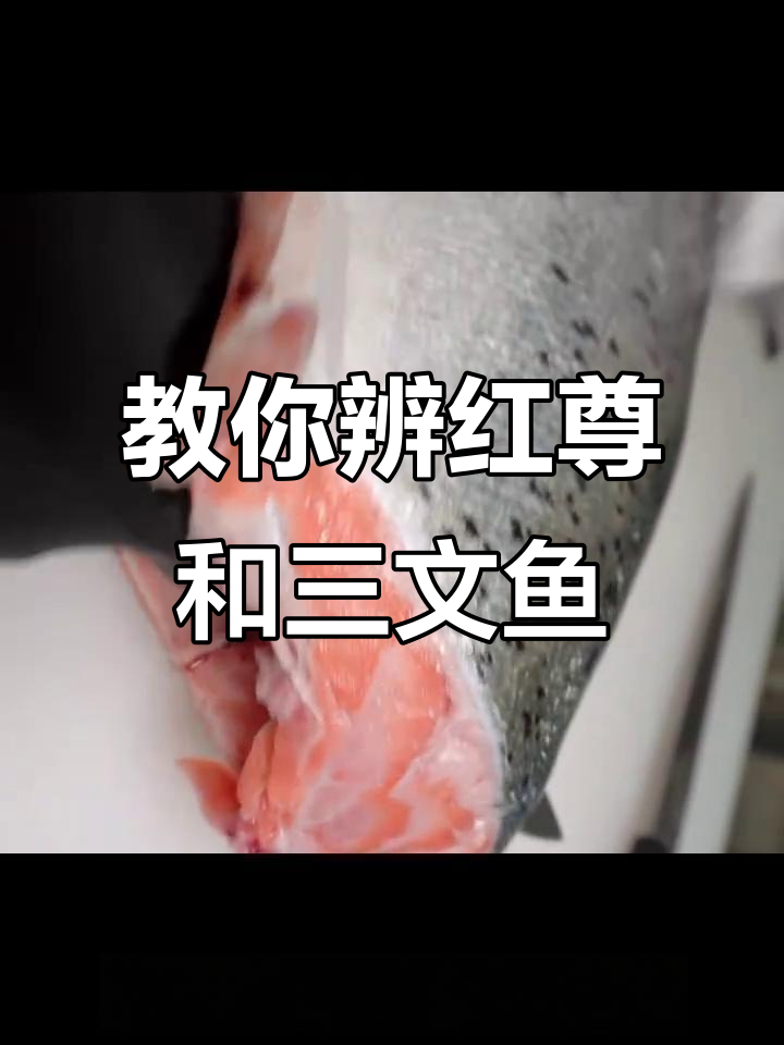 如何分辨虹鳟鱼与三文鱼的真相,辨别技巧大揭秘
