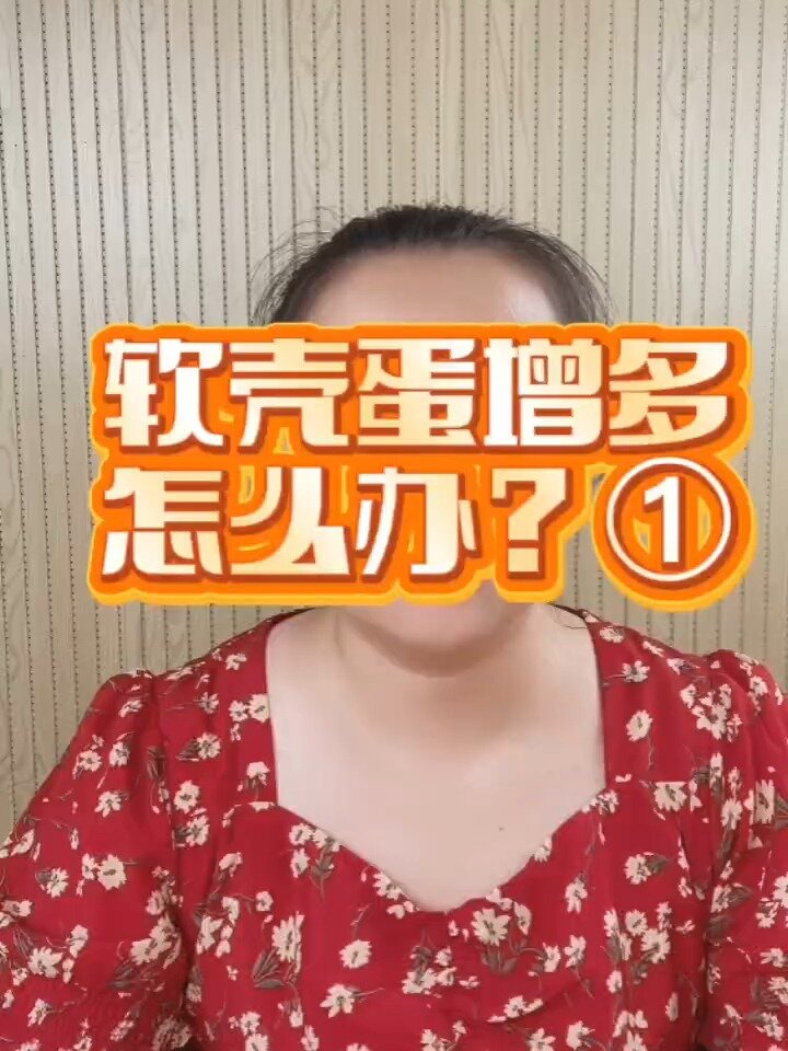 蛋鸡为啥生软壳蛋?母鸡出现沙壳蛋的原因?