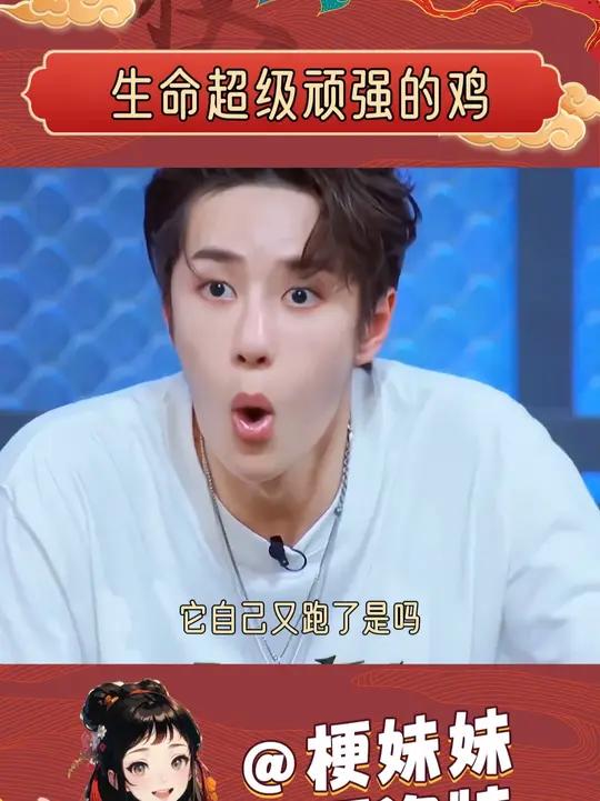 开水烫了毛都拔了鸡自己又跑了