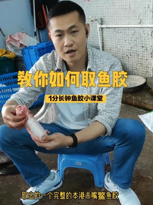 教你如何取鱼胶