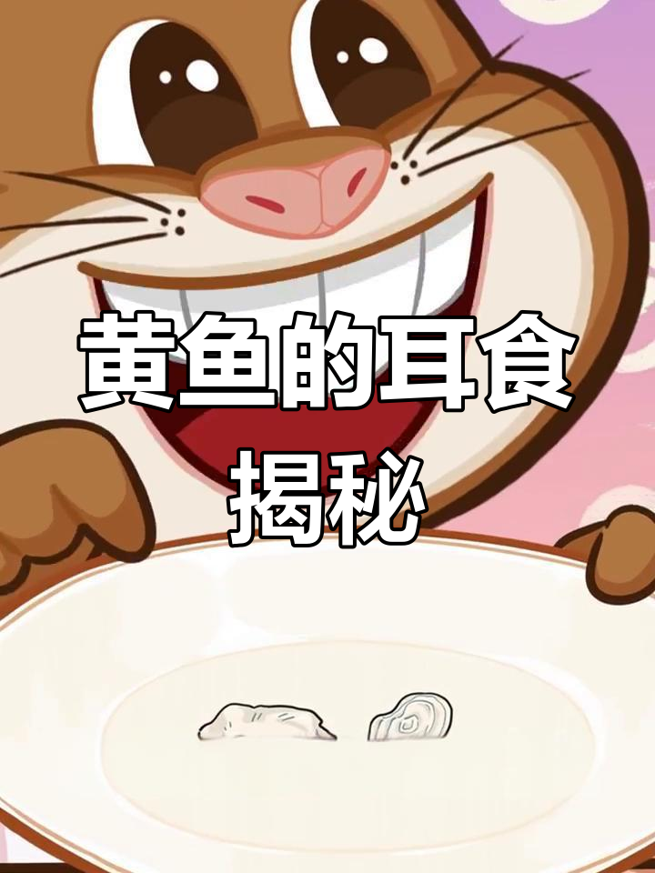 黄鱼脑袋里的神秘石头,竟然是这样!