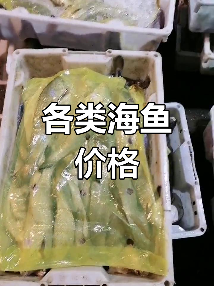 小黄鱼10元/斤,小米、中米鱼30斤价格