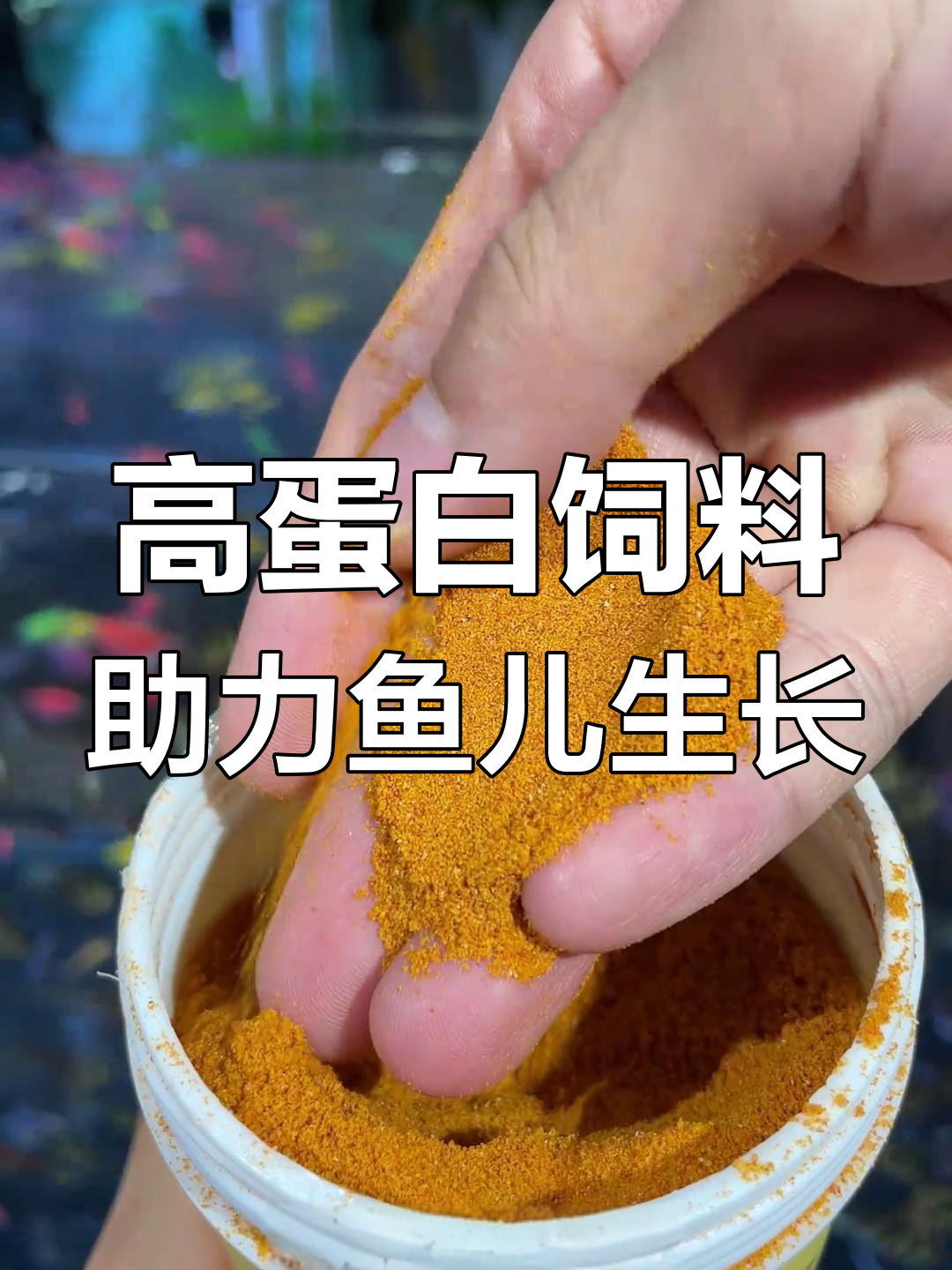 脱壳丰年虾卵,鱼宝宝快速成长
