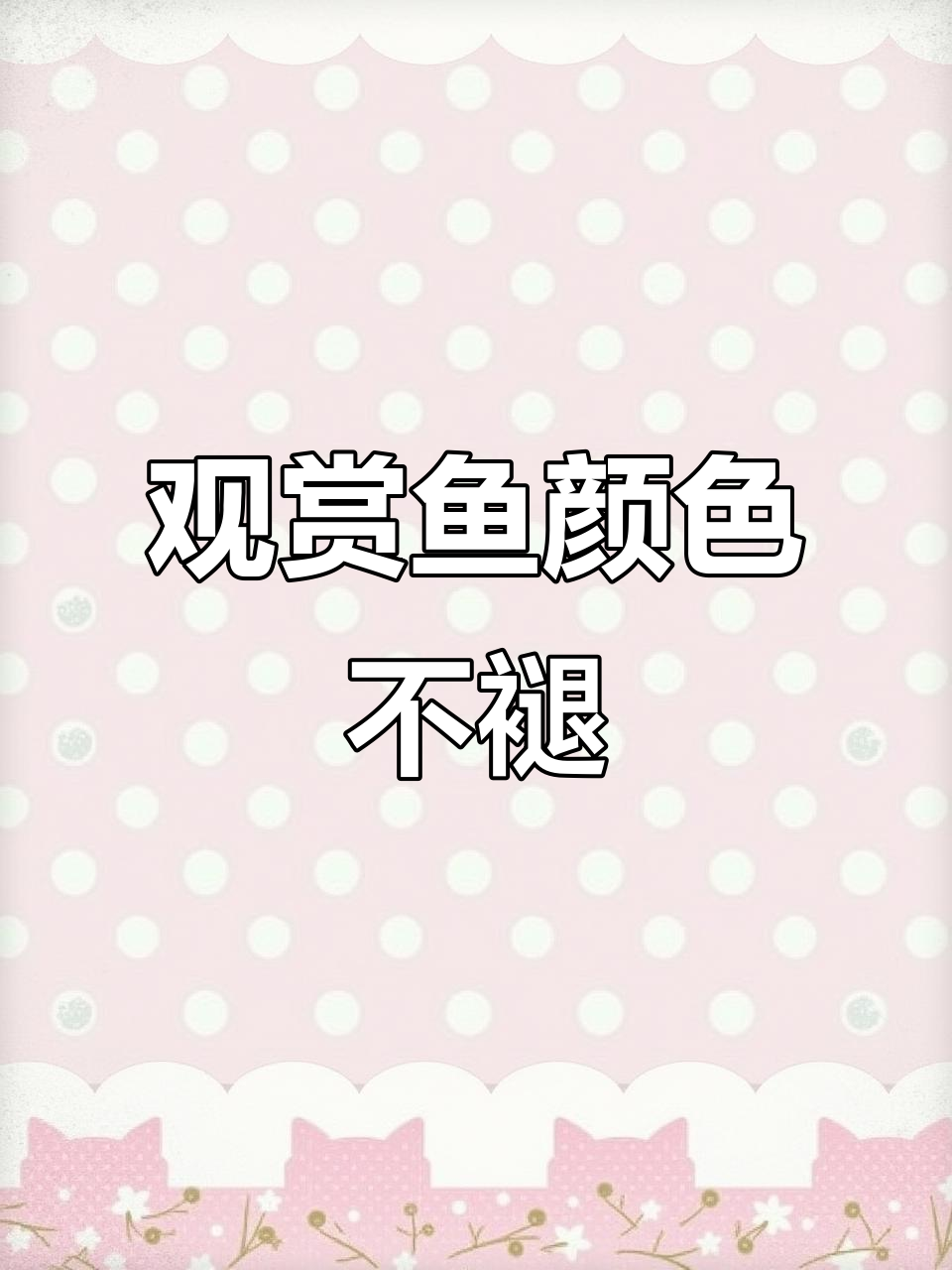 这些鱼的颜色永远不会褪去，新手养鱼的必看技巧