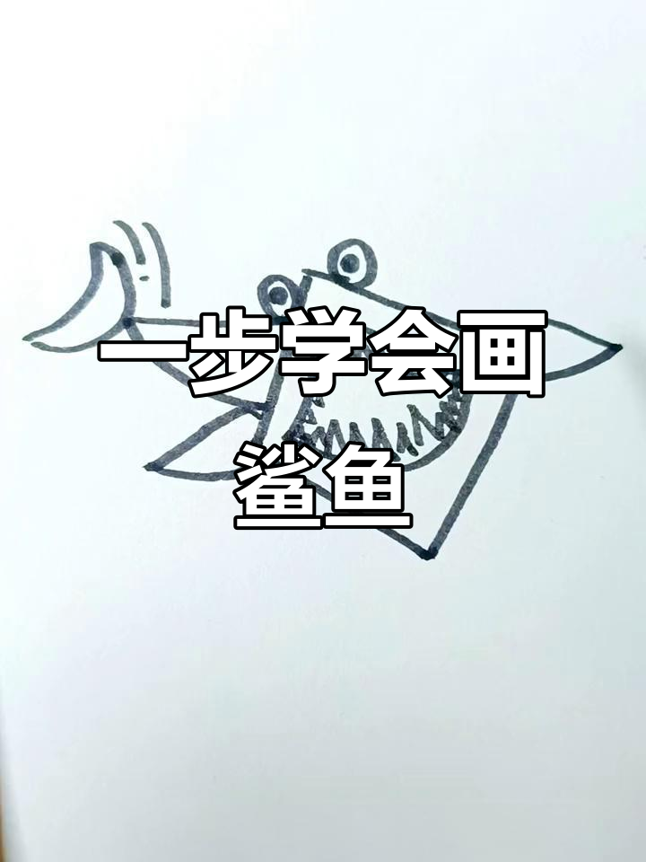 轻松学画可爱鲨鱼,步骤简单又有趣