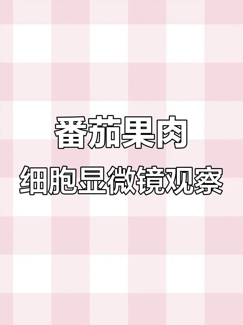 河南中招理化生实验:用显微镜观察番茄果肉细胞
