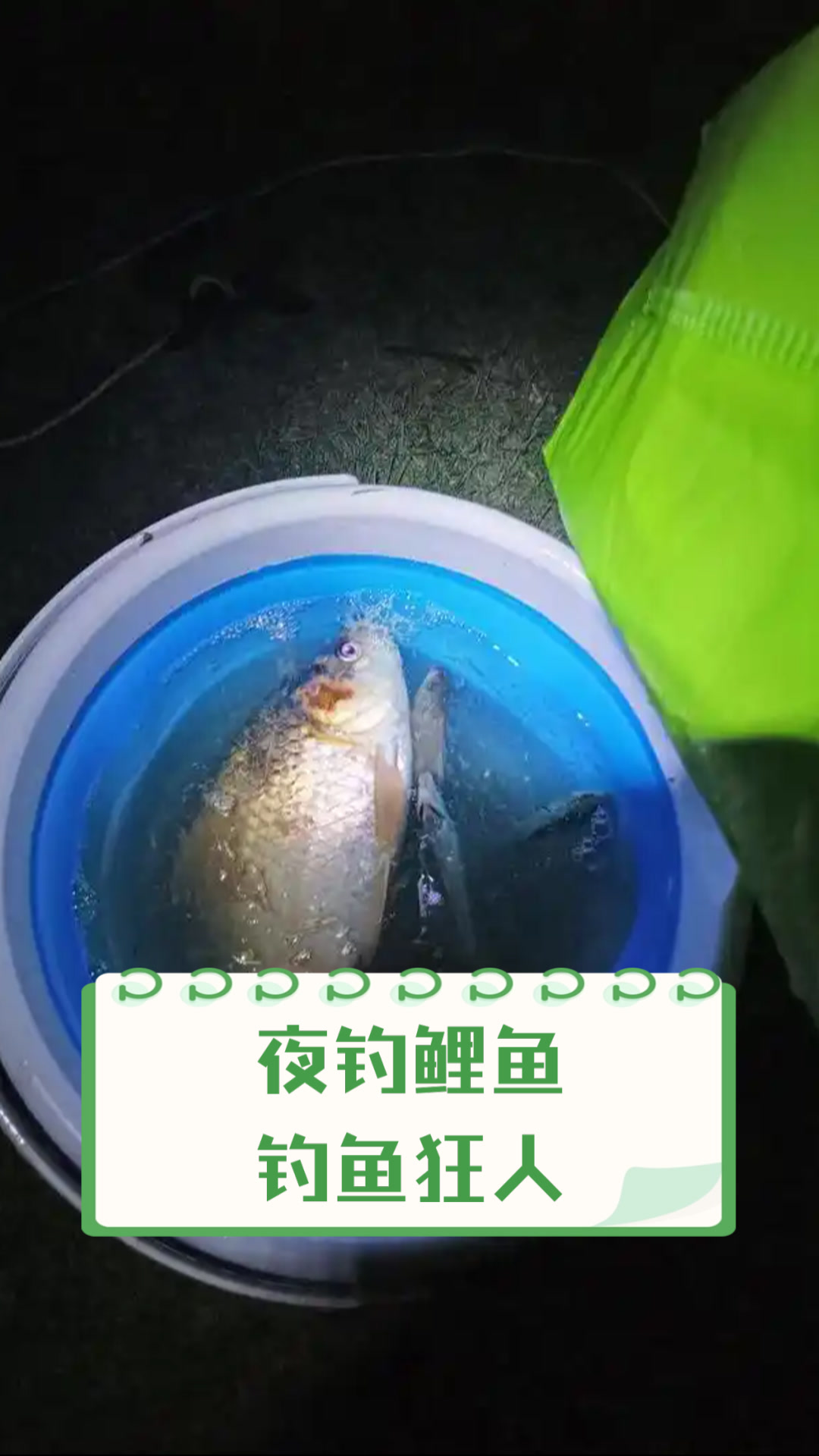 夜钓鲤鱼钓鱼狂人