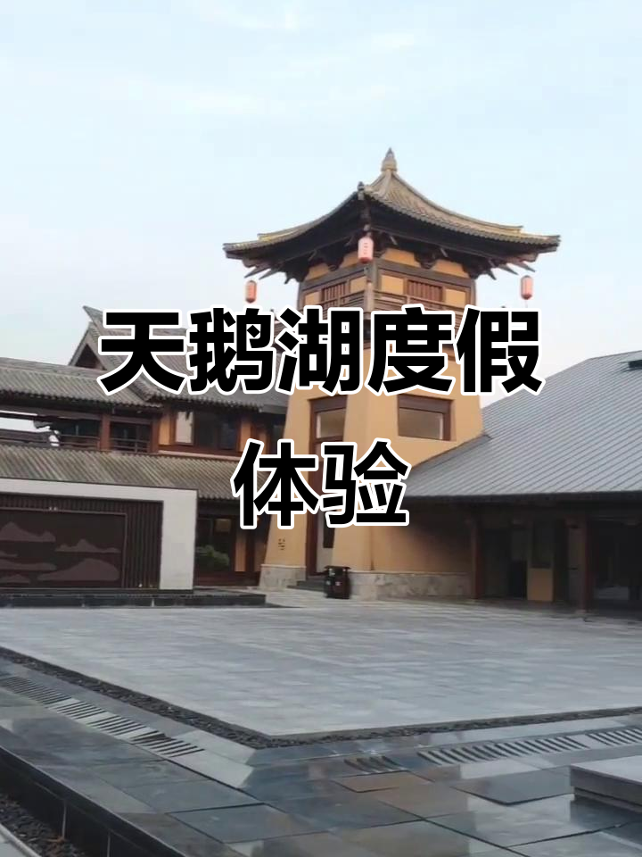 探秘天鹅湖度假酒店,享受奢华与自然的完美结合