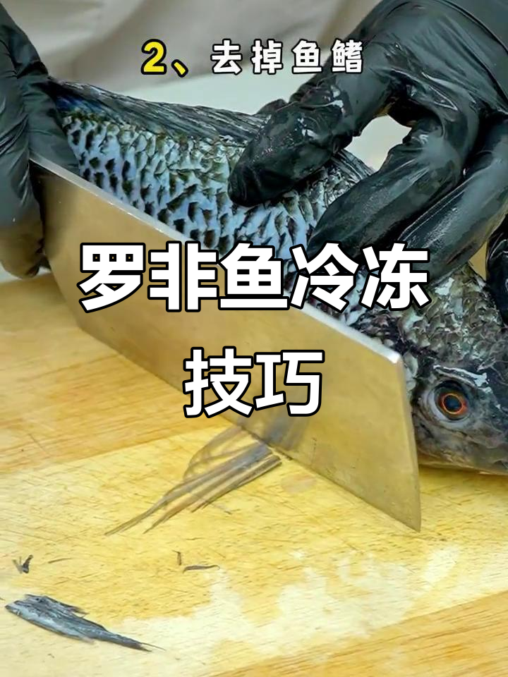 冻罗非鱼前必做处理，轻松去腥味