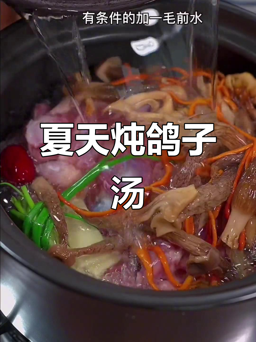 夏季喝鸽子汤,冬季不怕冷!滋补美容又暖心