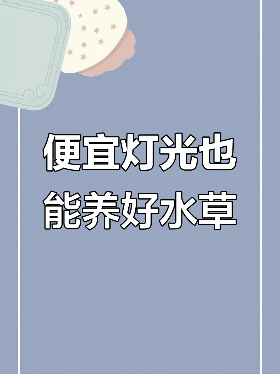 用最便宜的灯光养好水草,秘诀在于施肥