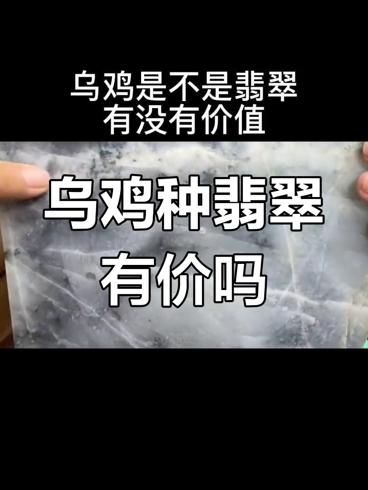 乌鸡种翡翠到底值不值?从废料到热销的转变