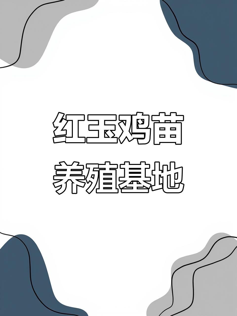 东山县红玉鸡苗养殖基地揭秘:规模、质量与技术支持全解析