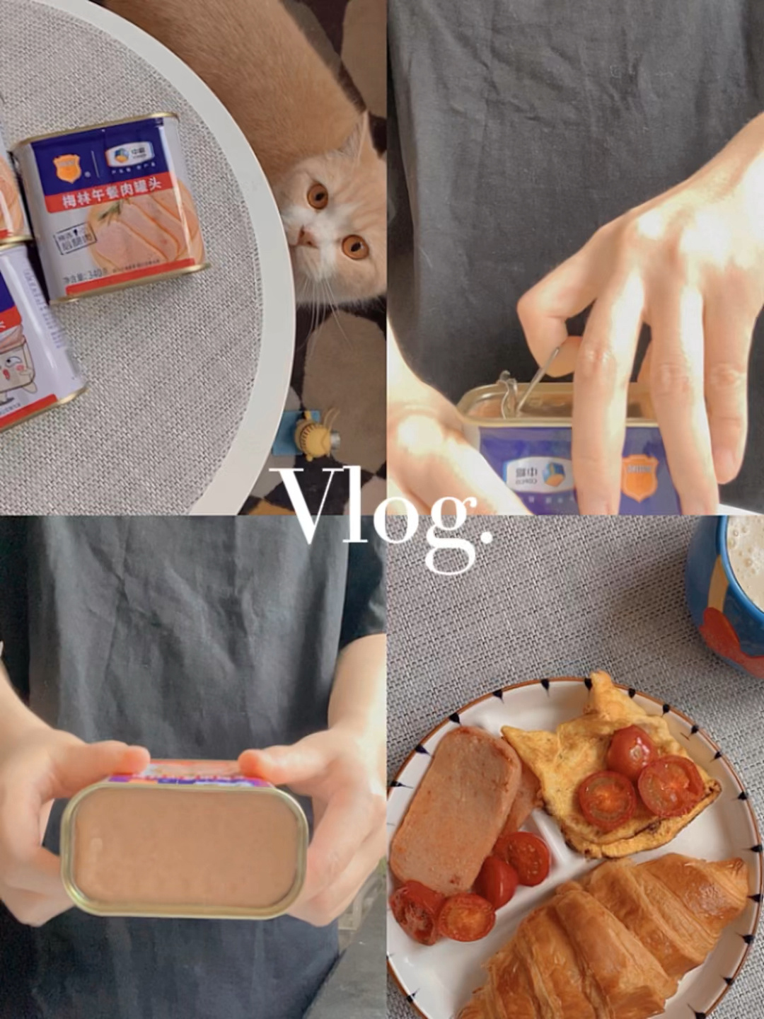 每天一个居家小技巧|开午餐肉罐头